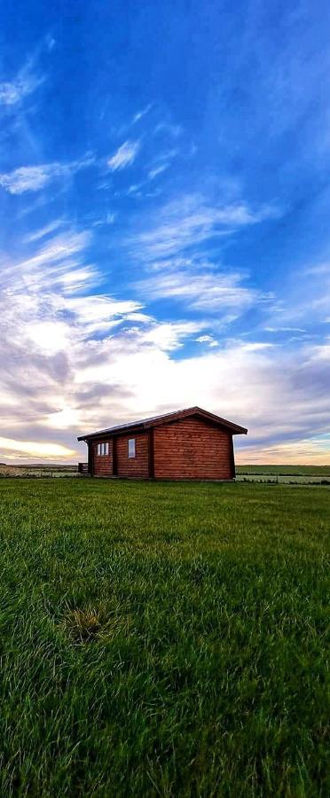 Guesthouse Didi Flagbjarnarholt Exteriér fotografie
